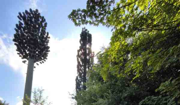 antennes 4g, 5G pylônes arbre